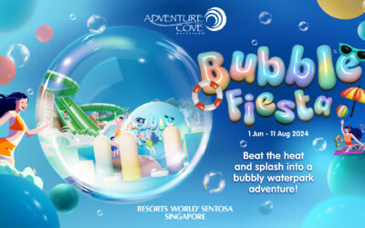A Splash of Fun and Strategy in Singapore’s Waterpark Scene