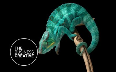Creative Excellence Across Every Industry – How We Do it